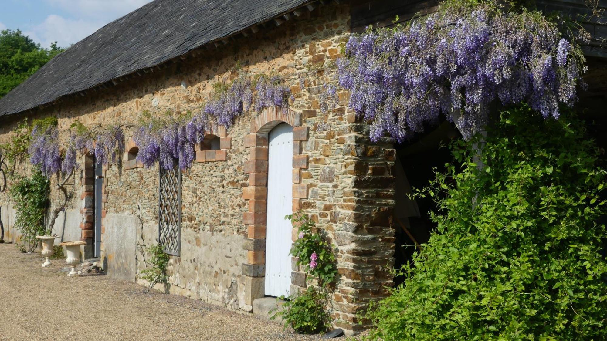 La Petite Lande Bed & Breakfast Menil Bagian luar foto
